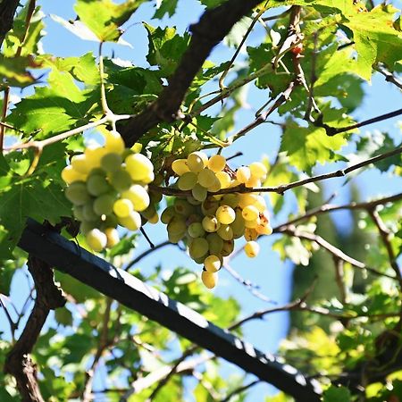 Privatna Kuca Krimeja Villa Rijeka Ngoại thất bức ảnh